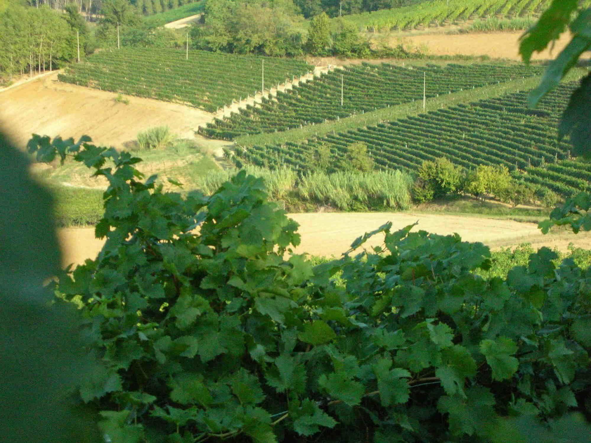Gasthaus Casa Isabella Vaglio Serra Exterior foto